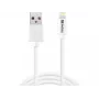 „Sandberg“ USB-A į „Lightning“ MFI 1 m, 1 m, Lightning, USB A, balta, tiesus, tiesus