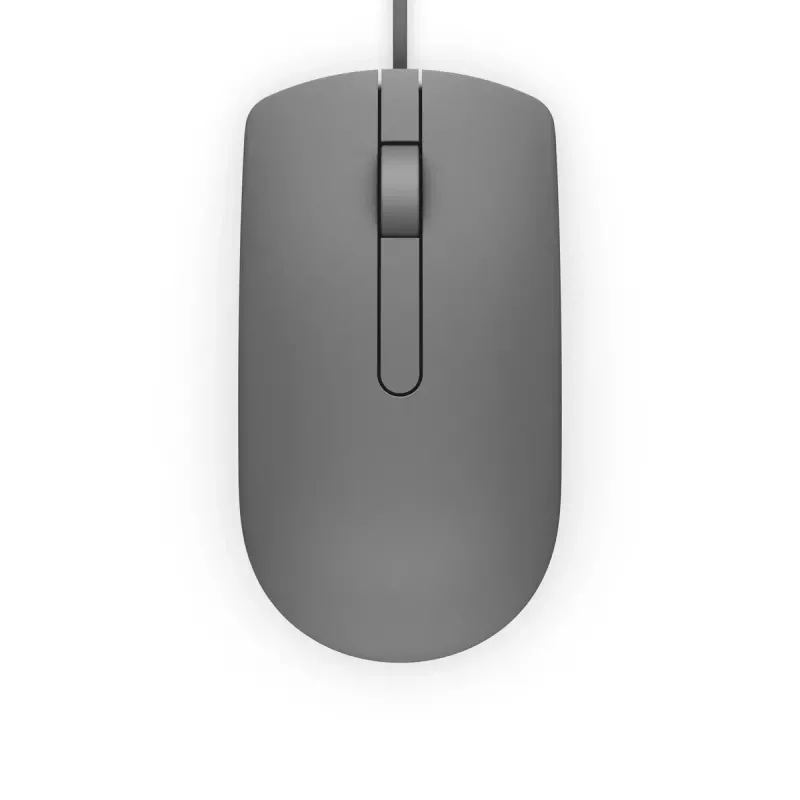 DELL MS116 USB Type-A pelė, tinkama abiem rankoms
