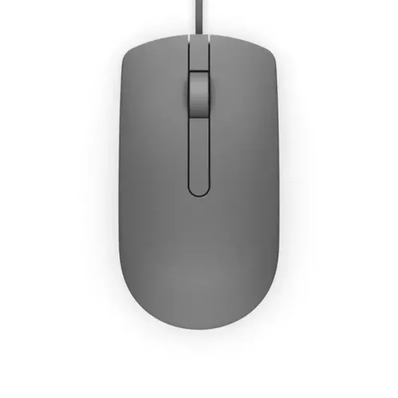DELL MS116 USB Type-A pelė, tinkama abiem rankoms