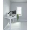 Techly ICA-LCD G112E monitoriaus laikiklis / stovas 81,3 cm (32 colių) Sieninis Juoda