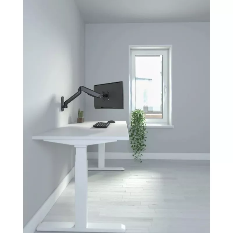 Techly ICA-LCD G112E monitoriaus laikiklis / stovas 81,3 cm (32 colių) Sieninis Juoda