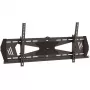 StarTech.com Žemo profilio TV sieninis laikiklis - pakreipiamas, 190,5 cm (75 coliai), 300 x 200 mm, 800 x 400 mm, -5 - 10°, Plienas, Juodas