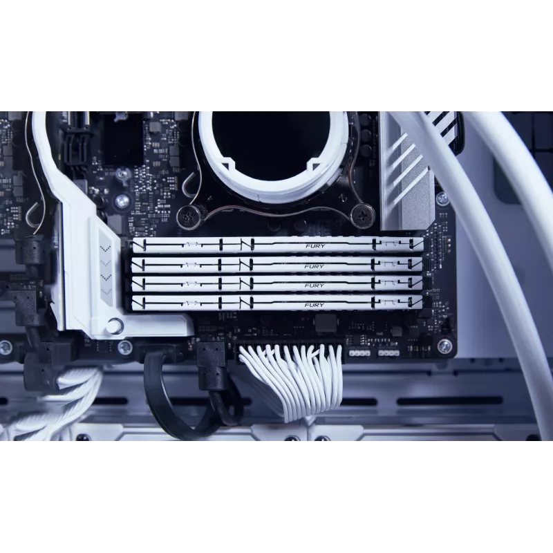 Kingston Technology FURY Beast 32GB 5600MT/s DDR5 CL36 DIMM White EXPO