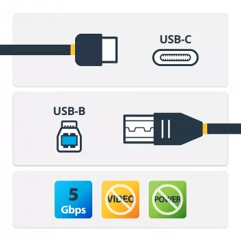 StarTech.com USB-C į USB-B kabelis - M/M - 2 m (6 pėd.) - USB 3.0