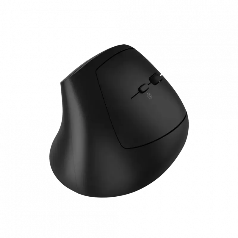 Pelė CANYON MW-25 ergonomiška LED AA dviejų režimų belaidė juoda