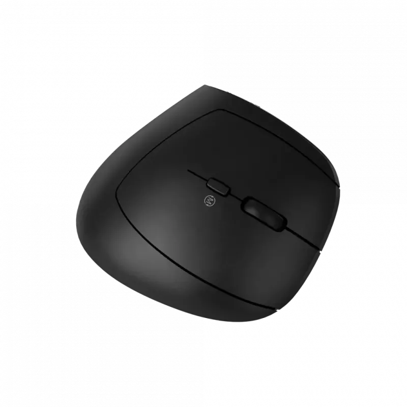 Pelė CANYON MW-25 ergonomiška LED AA dviejų režimų belaidė juoda