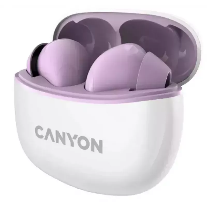 Ausinės Canyon TWS-5