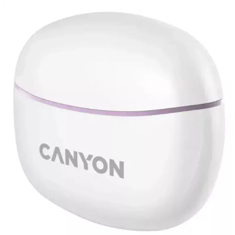 Ausinės Canyon TWS-5