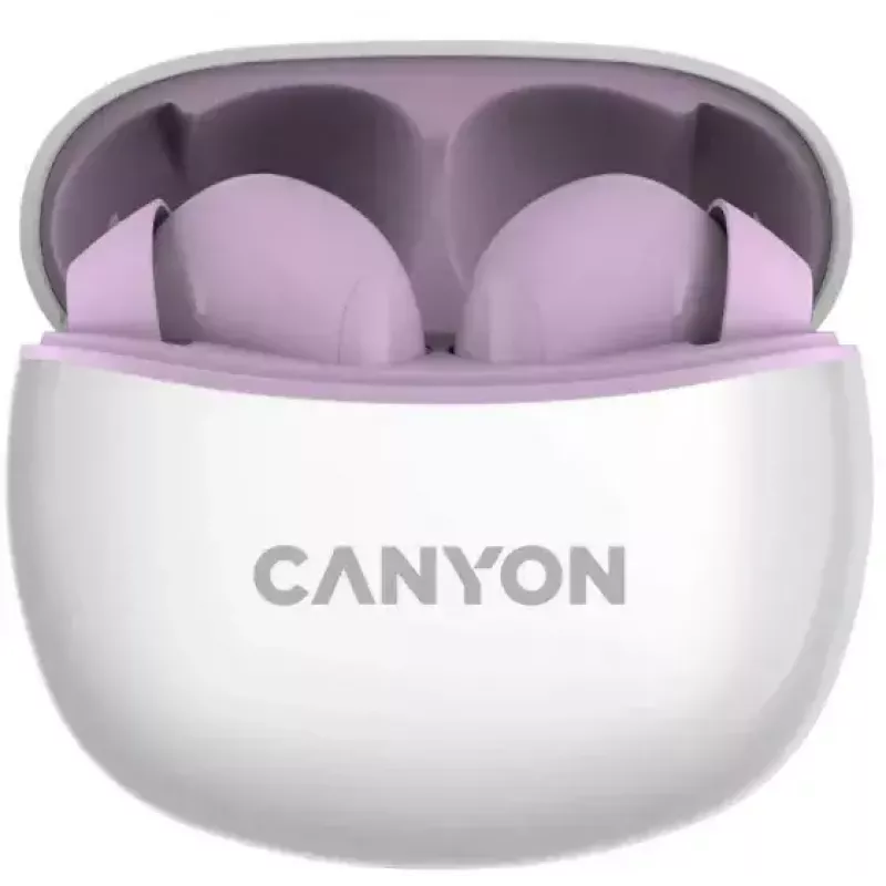 Ausinės Canyon TWS-5