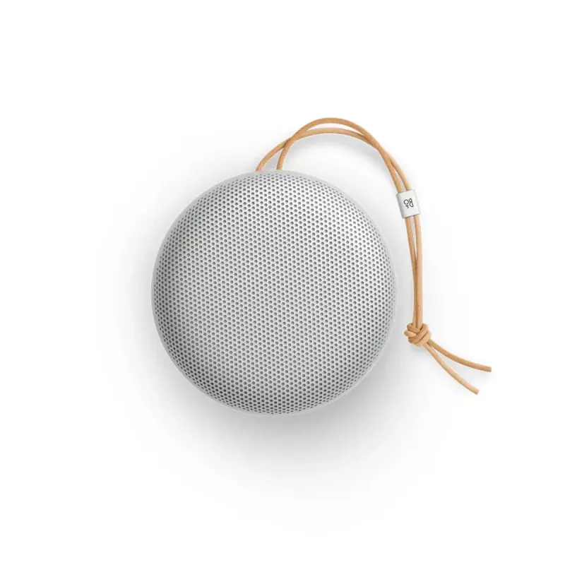Stereo nešiojamasis garsiakalbis Bang & Olufsen BeoSound A1 3rd Gen Aliuminis