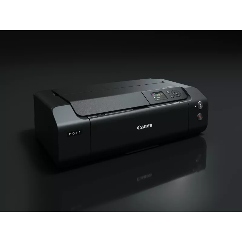 Canon imagePROGRAF PRO-310 rašalinis spausdintuvas Spalvotas 4800 x 2400 DPI A3+ Wi-Fi