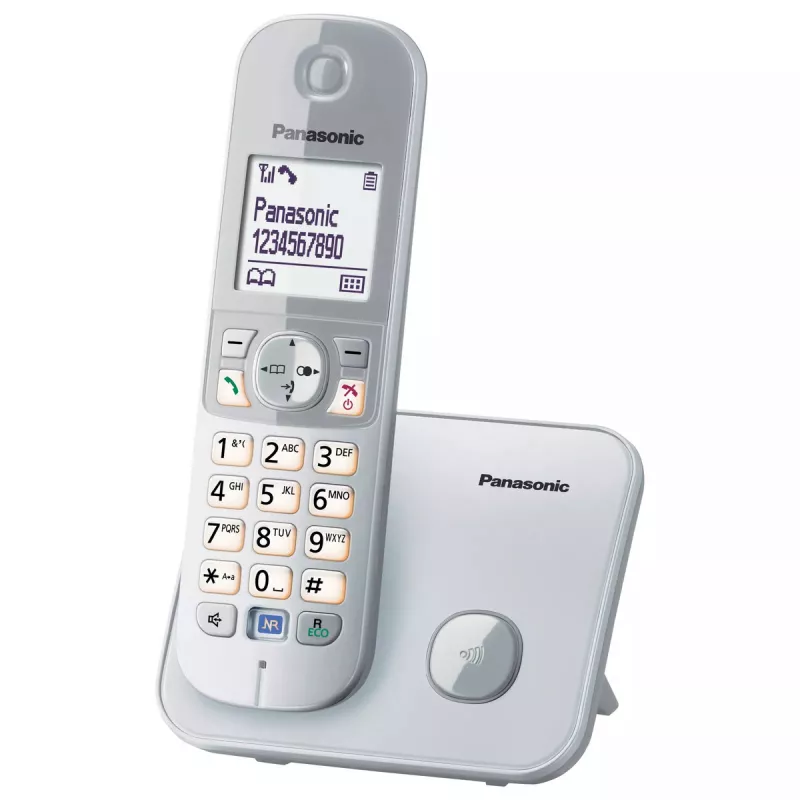 DECT telefonas Panasonic KX-TG6811GS