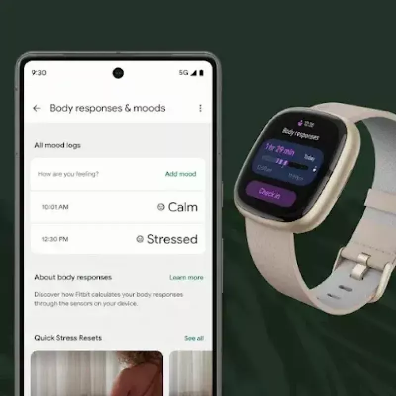 Išmanusis laikrodis „Fitbit Sense 2“ su skaitmeniniu jutikliniu ekranu, juodas
