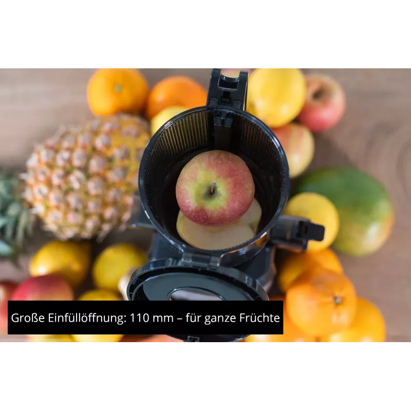 Unold 78275 LĖTAEIGĖ SULČIASPAUDĖ Sam 300 W anglies pilkumo