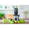 Unold 78275 LĖTAEIGĖ SULČIASPAUDĖ Sam 300 W anglies pilkumo