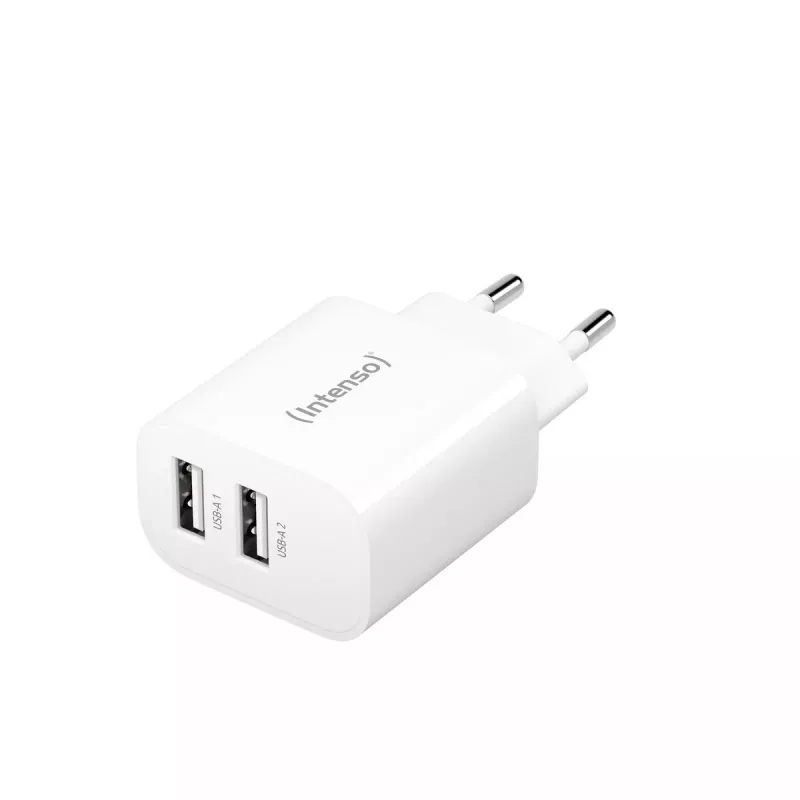 Vidinis įkroviklis Intenso POWER ADAPTER 2XUSB-A/7802412 Universalus Baltas AC