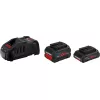 Bosch 1600A0214A įrankių baterija 18 V 8,0 Ah, baterijos ir įkroviklio rinkinys
