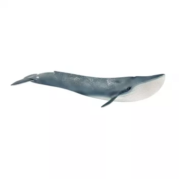 Figūrėlė Schleich WILD LIFE Mėlynasis banginis