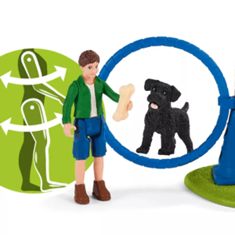 schleich Farm Life šuniukų vikrumo treniruotė, Farm World, 3 m., įvairiaspalvis