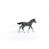 Žirgo figūrėlė Schleich Trakėnų kumeliukas pilkas 13944