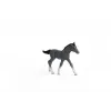 Žirgo figūrėlė Schleich Trakėnų kumeliukas pilkas 13944