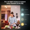 Išmanioji lemputė Philips Hue White ambience Candle E14, 5,2 W, Bluetooth/Zigbee, 39×39×117 mm