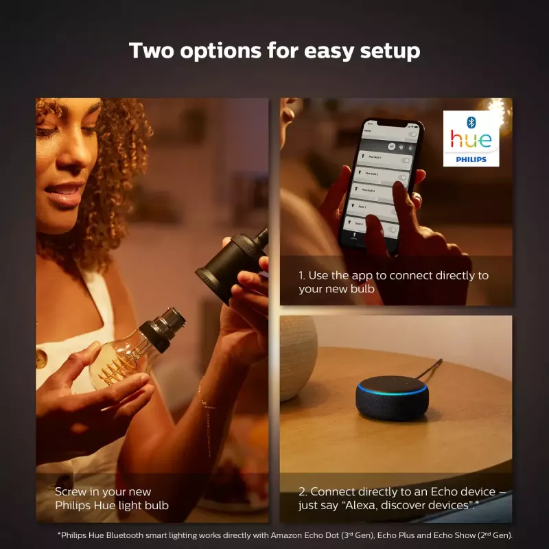 Išmanioji lemputė Philips 1 vnt. pakuotėje G93 E27 kaitinamasis siūlas