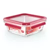 EMSA CLIP & CLOSE N10414 Square Box 0.8 L Skaidrus 1 vnt.