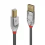 Lindy 3 m USB 2.0 Type A to B laidas, Cromo Line