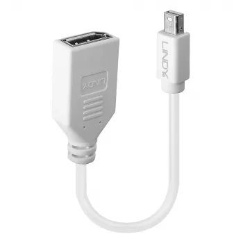Lindy 0,20 m Mini DisplayPort į DisplayPort adapterio kabelis, 0,15 m, Mini DisplayPort, DisplayPort, Kištukas, Lizdas, Balta