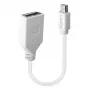 Lindy 0,20 m Mini DisplayPort į DisplayPort adapterio kabelis, 0,15 m, Mini DisplayPort, DisplayPort, Kištukas, Lizdas, Balta