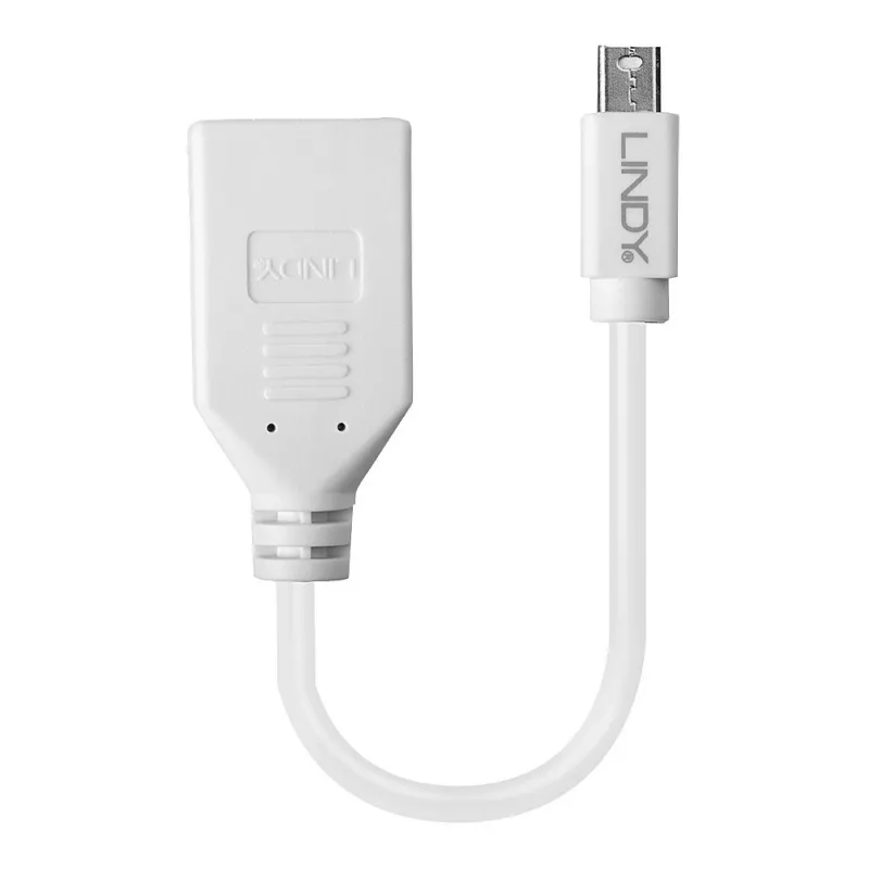 Lindy 0,20 m Mini DisplayPort į DisplayPort adapterio kabelis, 0,15 m, Mini DisplayPort, DisplayPort, Kištukas, Lizdas, Balta