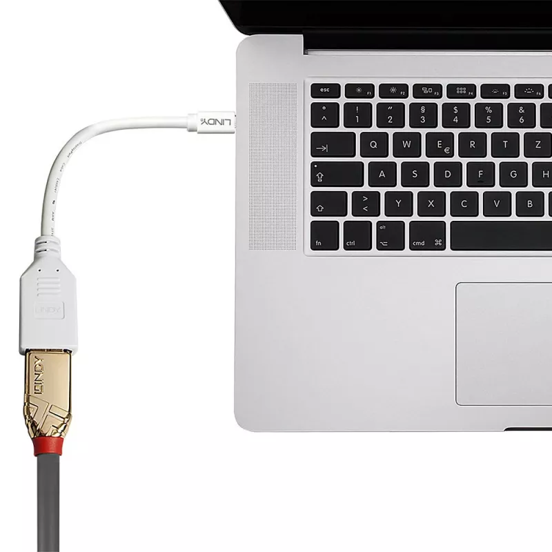 Lindy 0,20 m Mini DisplayPort į DisplayPort adapterio kabelis, 0,15 m, Mini DisplayPort, DisplayPort, Kištukas, Lizdas, Balta