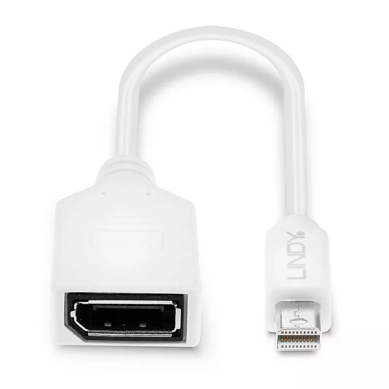 Lindy 0,20 m Mini DisplayPort į DisplayPort adapterio kabelis, 0,15 m, Mini DisplayPort, DisplayPort, Kištukas, Lizdas, Balta