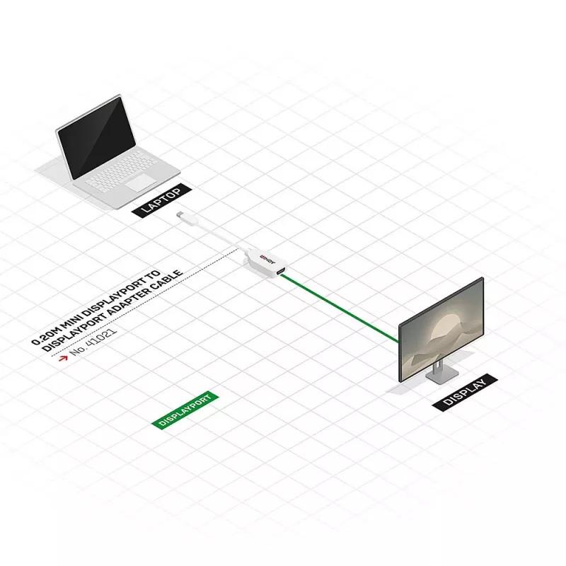 Lindy 0,20 m Mini DisplayPort į DisplayPort adapterio kabelis, 0,15 m, Mini DisplayPort, DisplayPort, Kištukas, Lizdas, Balta