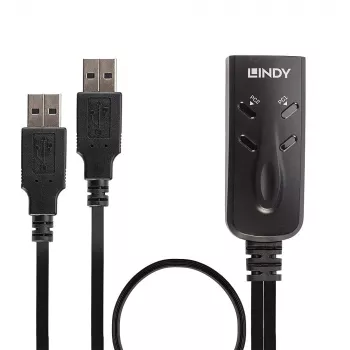 Lindy 2 prievadų USB KM perjungiklis