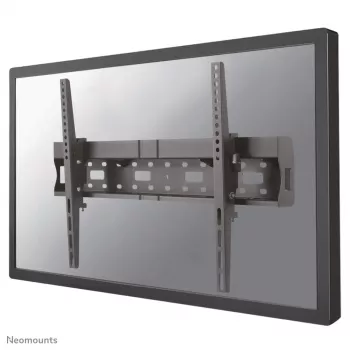 Neomounts LFD-W2640MP TV laikiklis sienai 37–75 col. - pakreipiamas