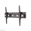 Neomounts LFD-W2640MP TV laikiklis sienai 37–75 col. - pakreipiamas