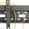 Neomounts LFD-W2640MP TV laikiklis sienai 37–75 col. - pakreipiamas