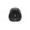 Pelė ENDORFY GEM Plus Wireless RF belaidis + USB Type-C