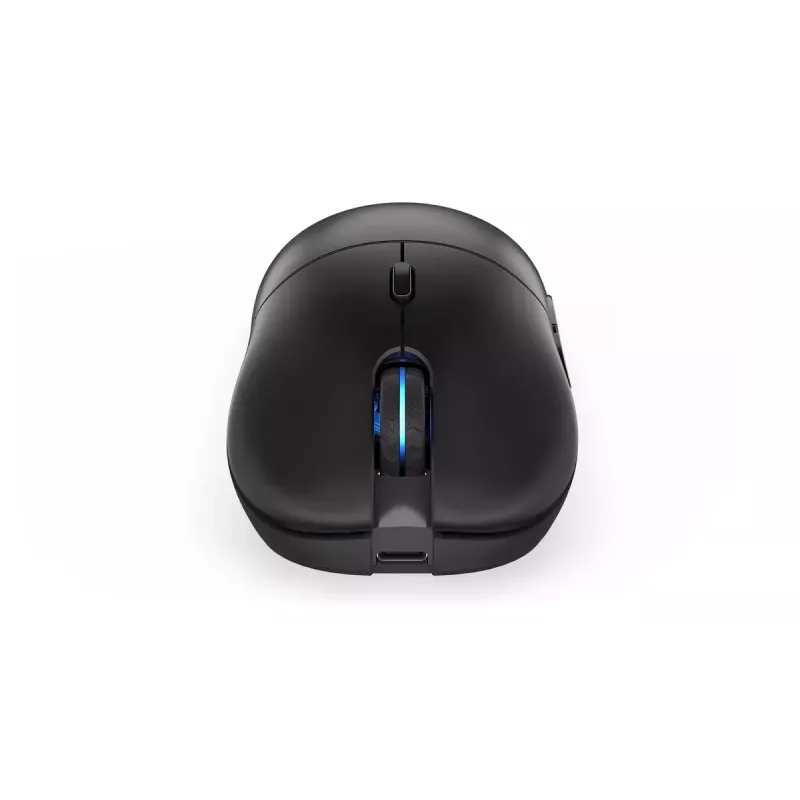 Pelė ENDORFY GEM Plus Wireless RF belaidis + USB Type-C