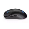 Pelė ENDORFY GEM Plus Wireless RF belaidis + USB Type-C