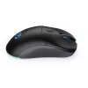 Pelė ENDORFY GEM Plus Wireless RF belaidis + USB Type-C