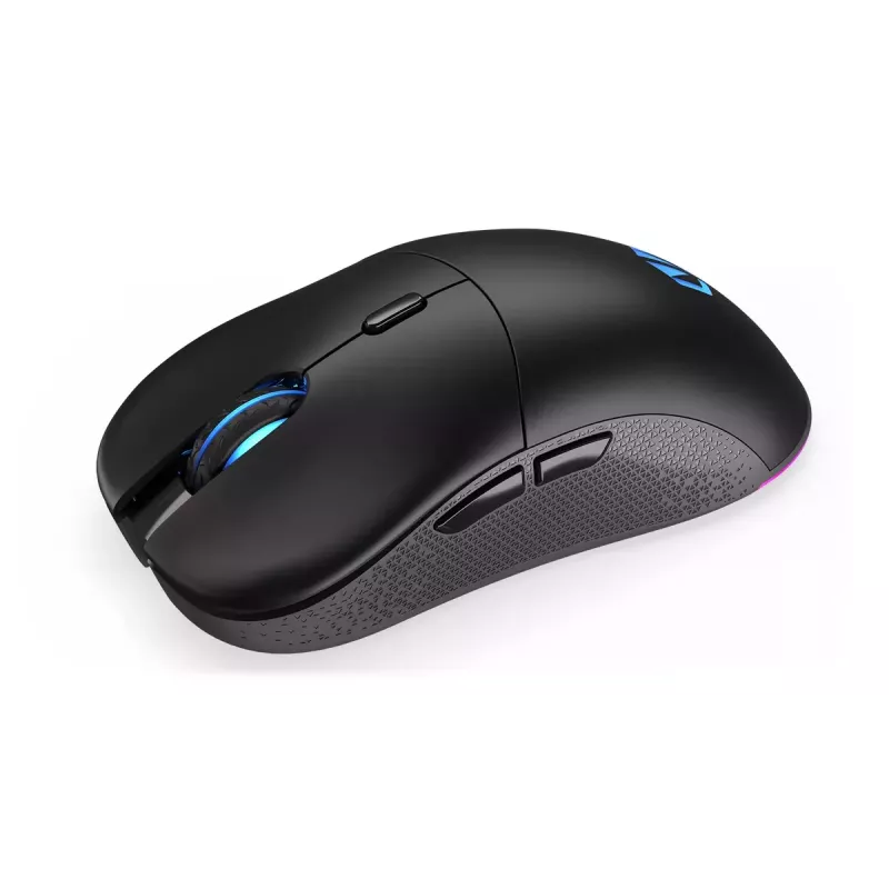 Pelė ENDORFY GEM Plus Wireless RF belaidis + USB Type-C