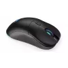 Pelė ENDORFY GEM Plus Wireless RF belaidis + USB Type-C