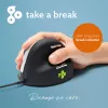R-Go Tools Ergonominė pelė R-Go HE Break su pertraukų programine įranga, vidutinė (rankos dydis 165-185 mm), dešiniarankiams, laidinė, juoda