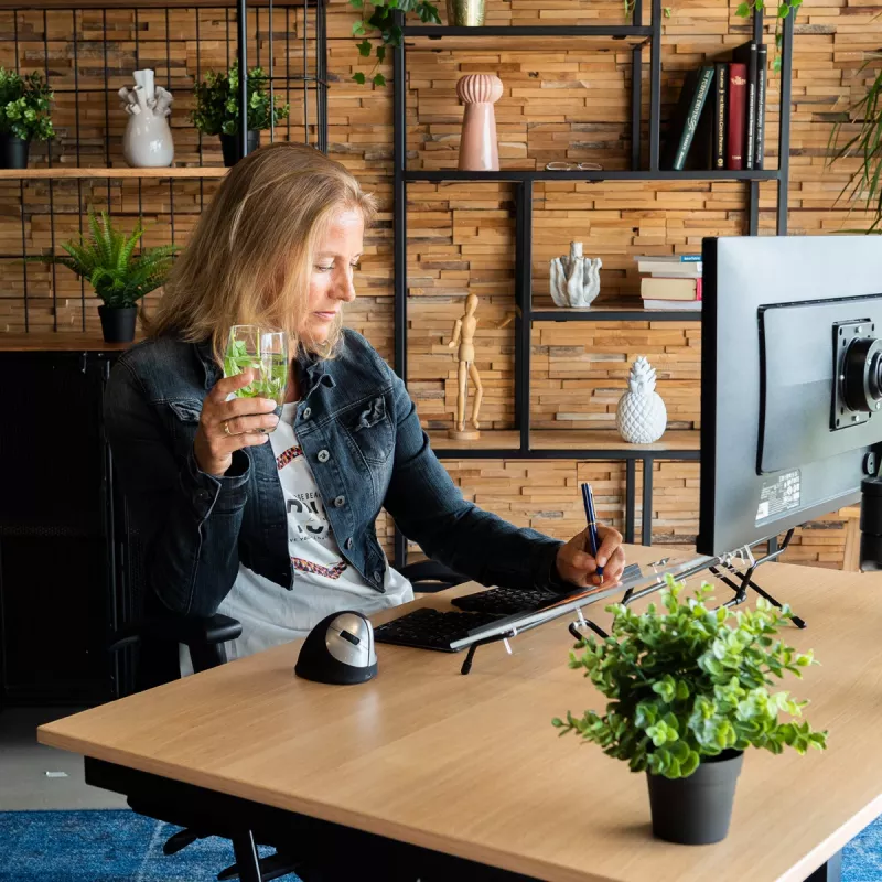 R-Go Tools dokumentų laikiklis R-Go Flex Read, ergonomiškas, su minkšta porolono riešo atrama, skaidrus akrilas