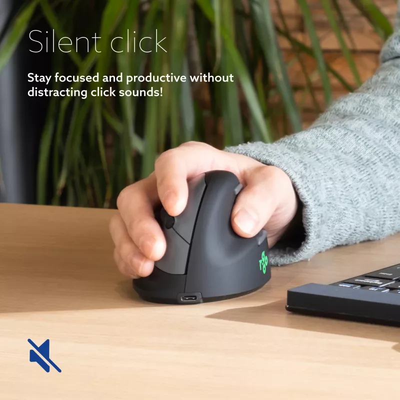 R-Go Tools ergonomiška pelė R-Go HE Break su pertraukų programine įranga, maža (plaštakos dydis ˂165 mm), dešiniarankiams, laidinė, juoda