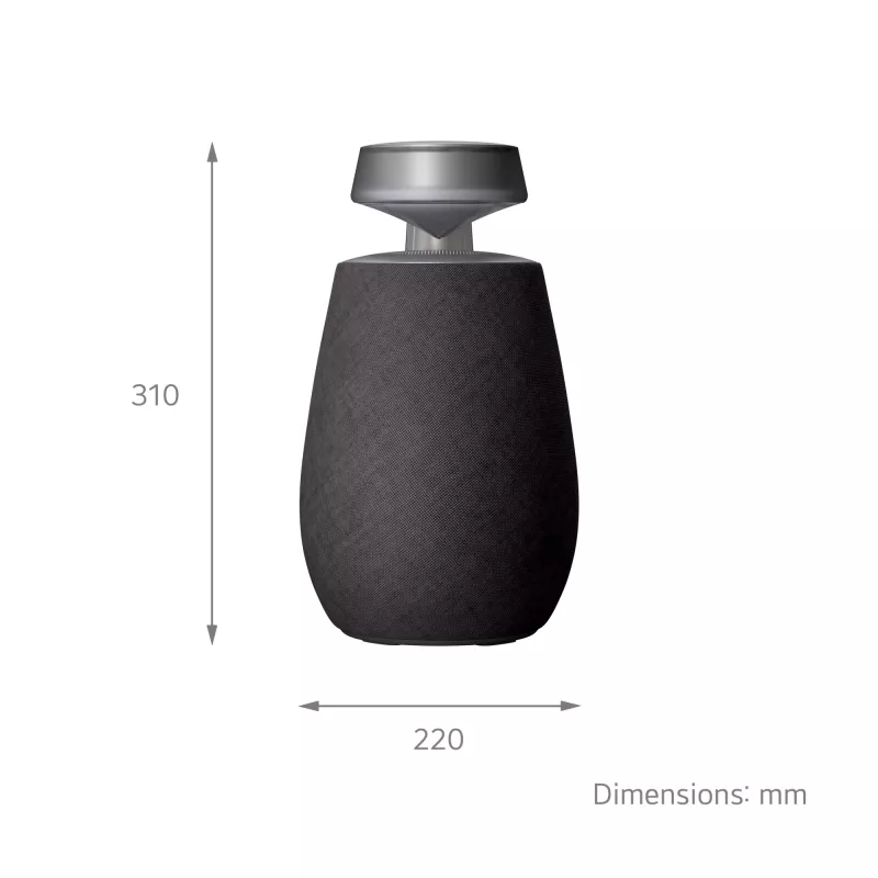 LG XBOOM 360 Mono nešiojamasis garsiakalbis Juodas 20 W