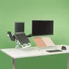 R-Go Tools R-Go Morelia dokumentų laikiklis, modulis su Caparo ir Zepher monitoriaus laikikliu